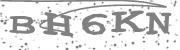 Type the letters in the image or Type the first letter of the words spoken in the audio.