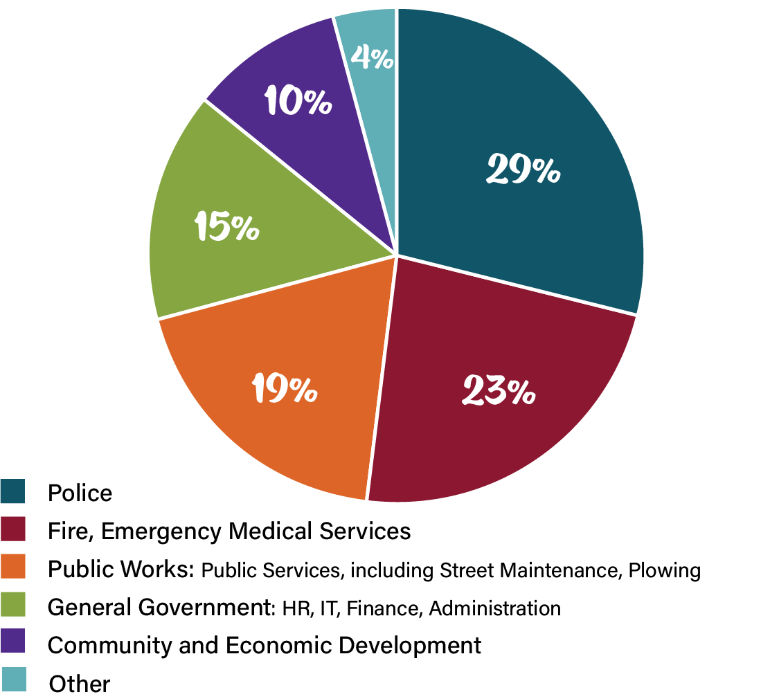 Graphic of What Taxes Pay For