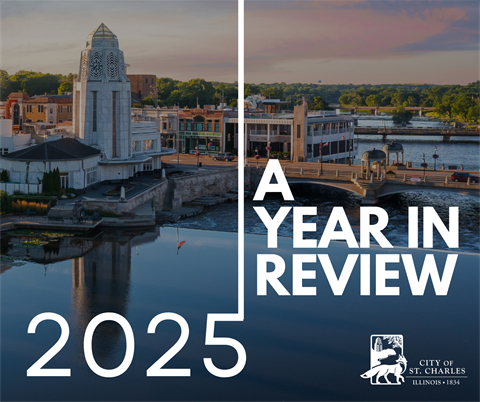 A Year in Review.png