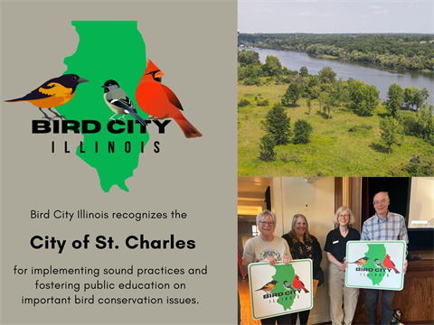 Bird City Illinois - STC 2025.png